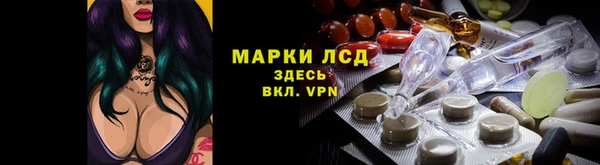 прущие грибы Алексин